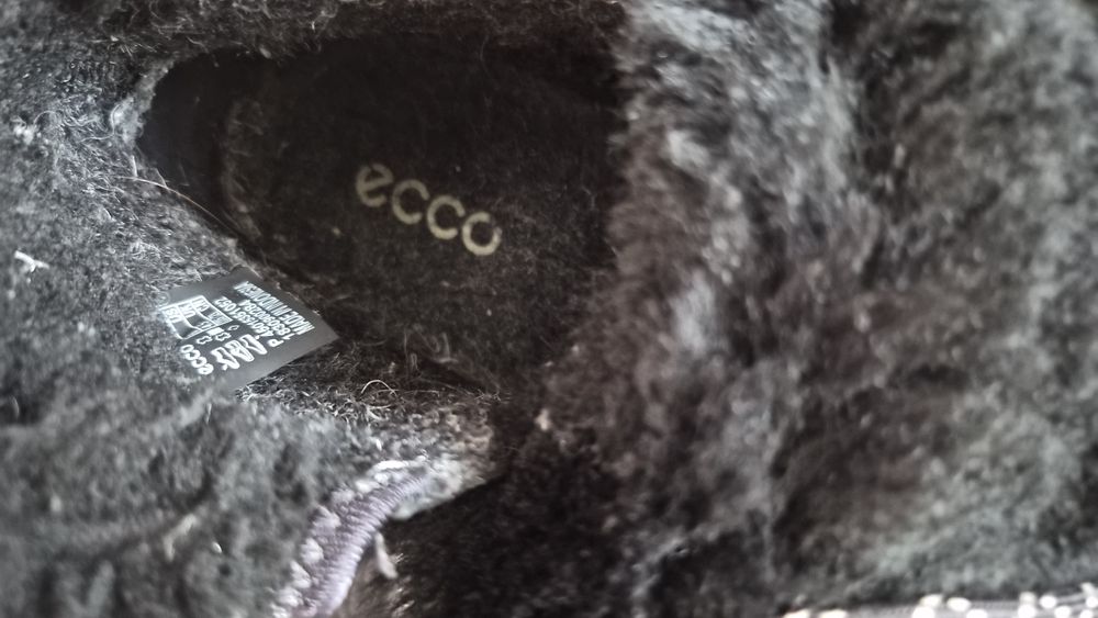 Кеди ecco 37 розмір
