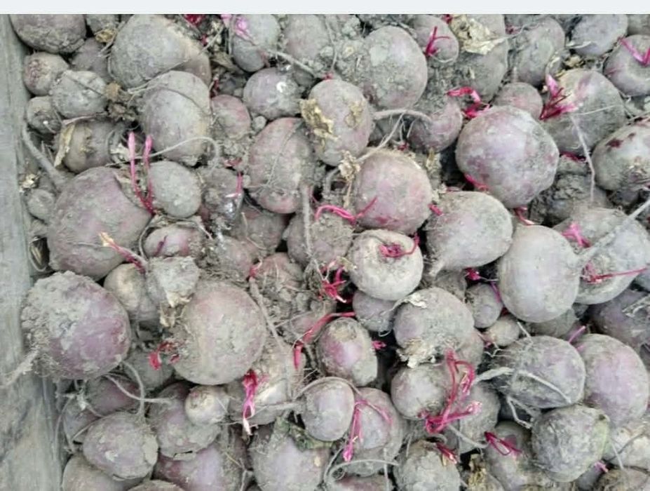 Zestaw warzyw bezpośrednio od rolnika wysyłka inpost paczkomat