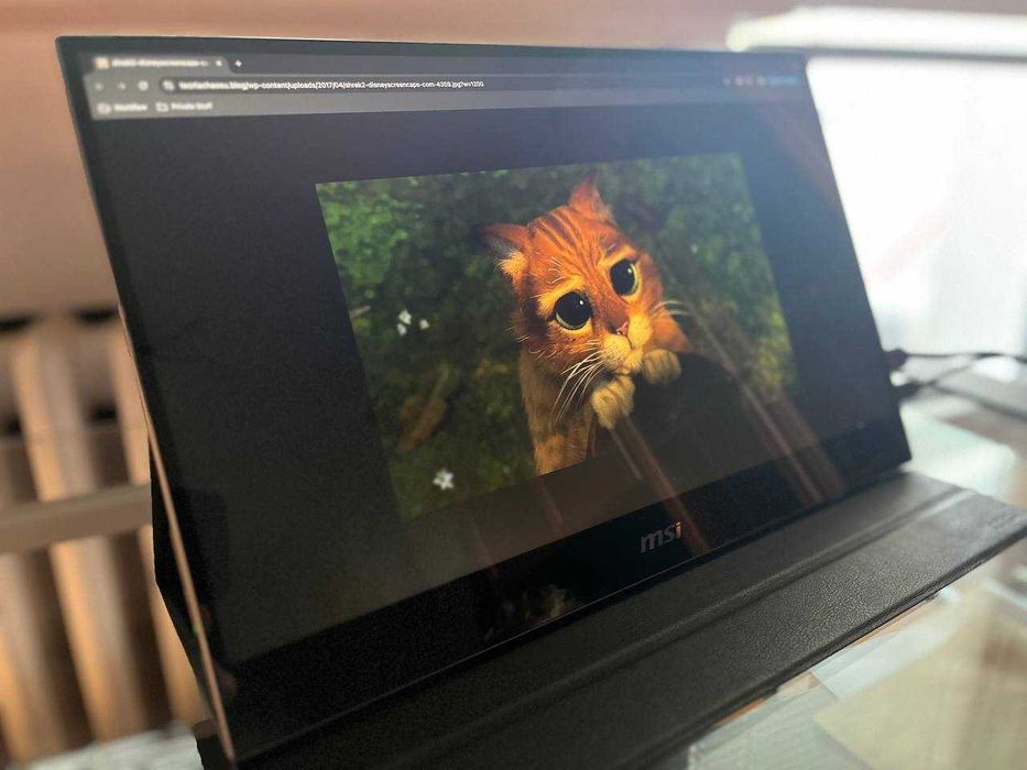 Monitor przenośny USB MSI Optix MAG161V