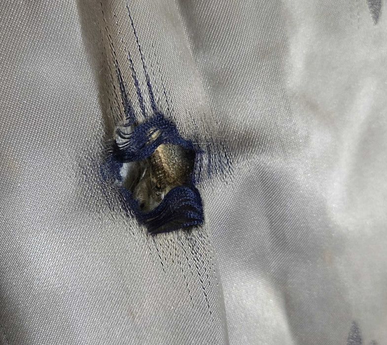 Sprzedam naturalne futro z foki