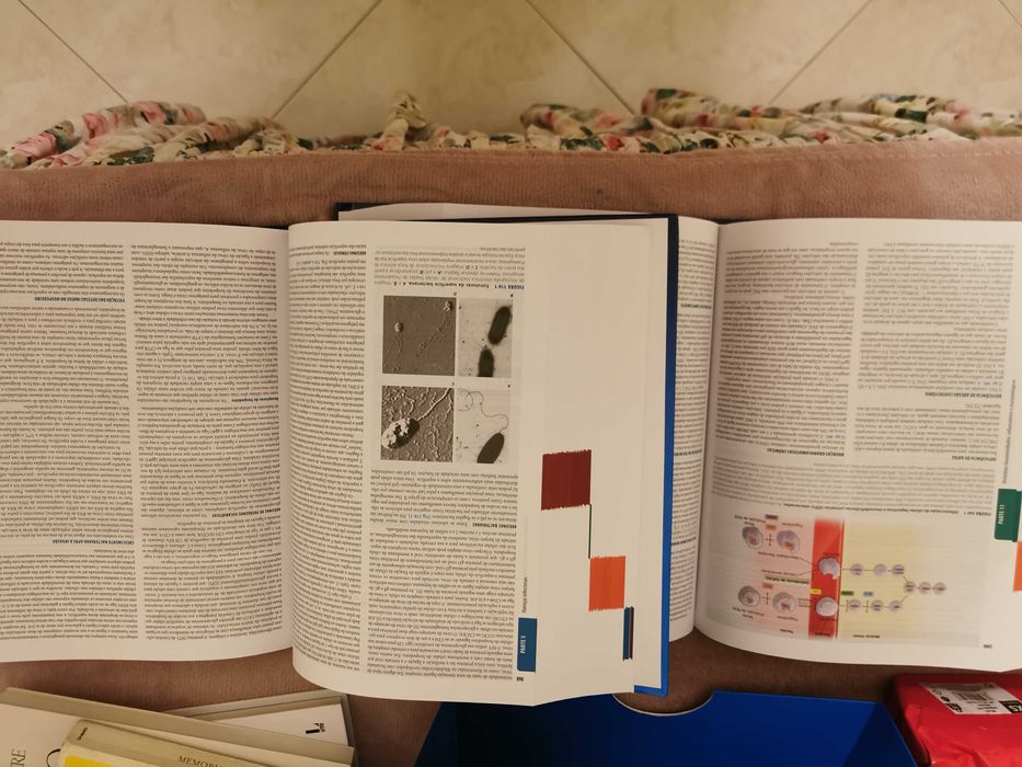 Livro Medicina Interna - Harrison (20ª edição) em Português