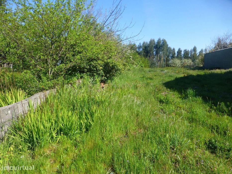 Terreno para construção com 900 m2 no Alto da Bandeira- Aves