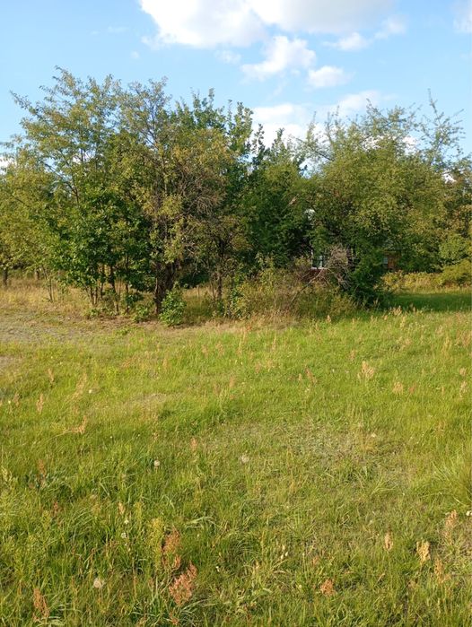Działka budowlana Wola Chodkowska