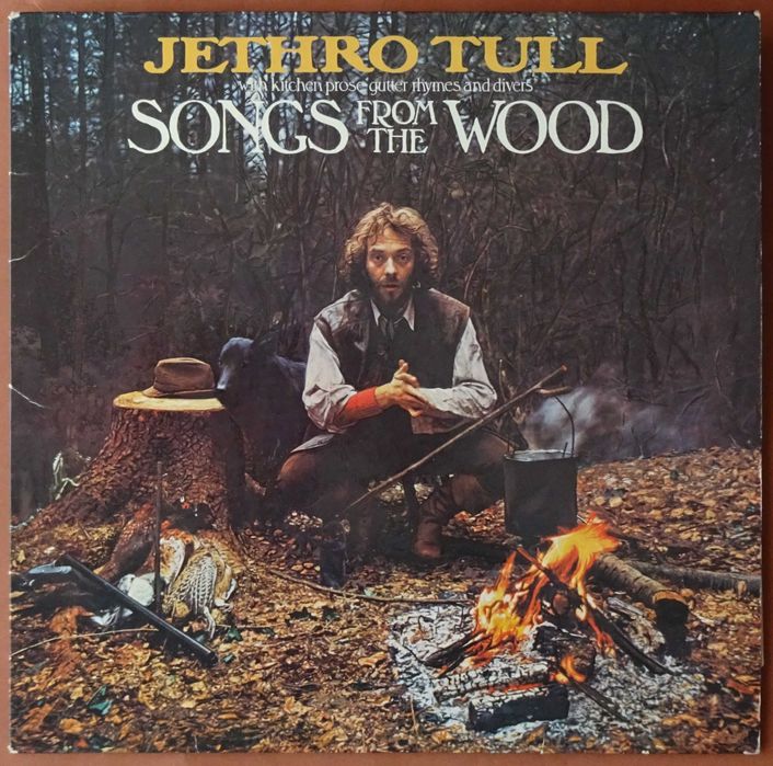Discos de vinil usados - New Order, Jethro Tull, John Mayall, etc.