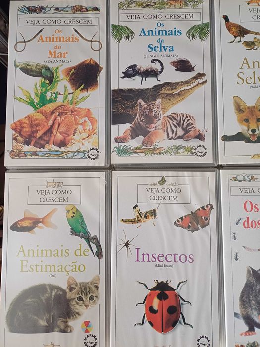 Documentários Veja Como Crescem VHS's 10 unidades