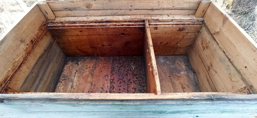 Продам вулики для бджіл