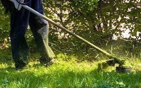 Fazemos limpezas de terrenos e manutenção de jardins corte de árvores