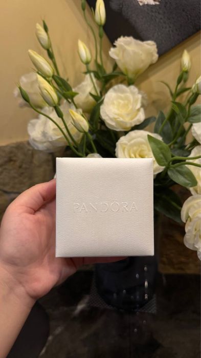 Браслет Pandora Harry Potter,Гаррі Поттер,Гаррі і Шляпа