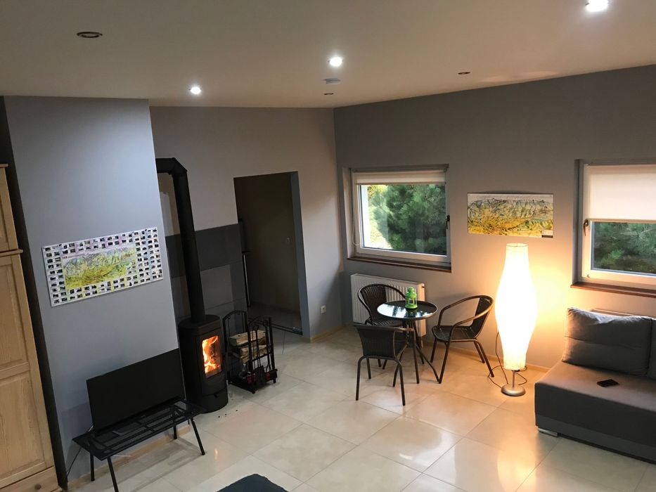 Domki Platan kominek góry Jacuzzi SPA sauna ferie integracja szkolenie