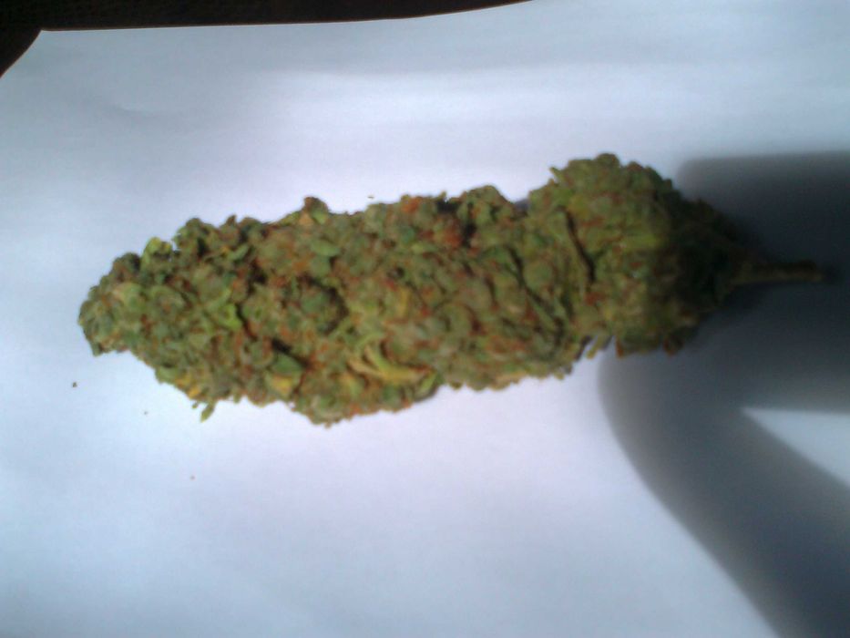 Afghan Kush 15g Suszu Roślinnego thc cbn cbl cbc Cannabis Flos (TOPY)