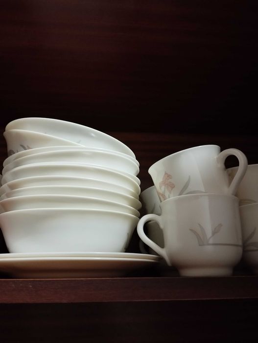 Serviço Arcopal porcelana e copos