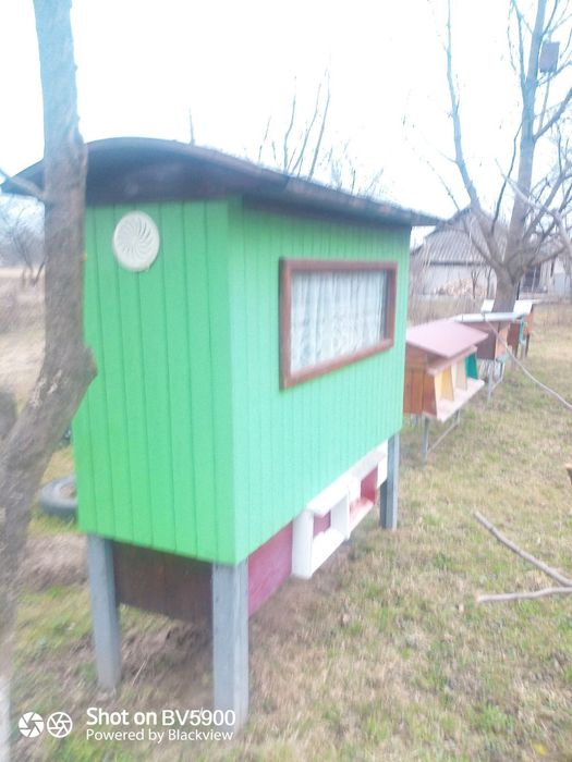 Продаються вулики