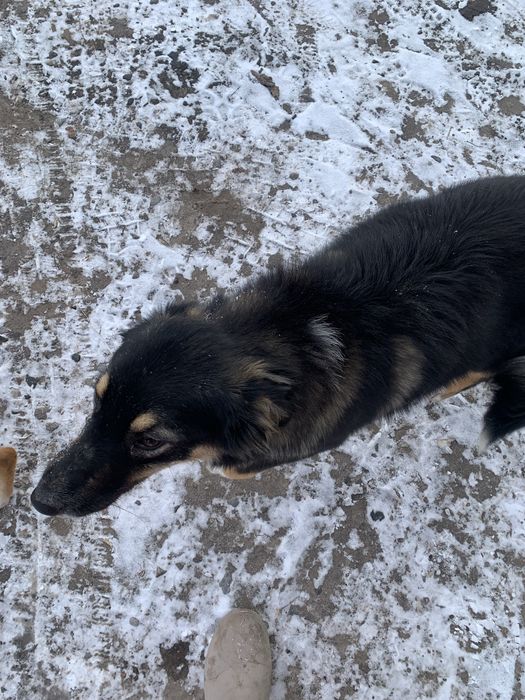 В пошуках родини терміново