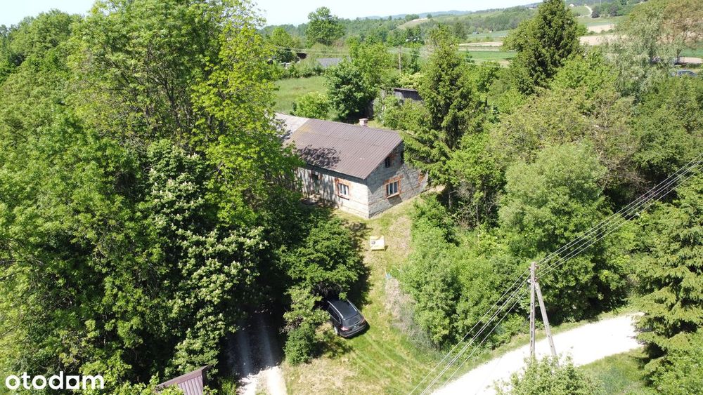 Siedlisko do remontu w świetnej lokalizacji, k.Czarna Góra i Zieleniec - Widok 5