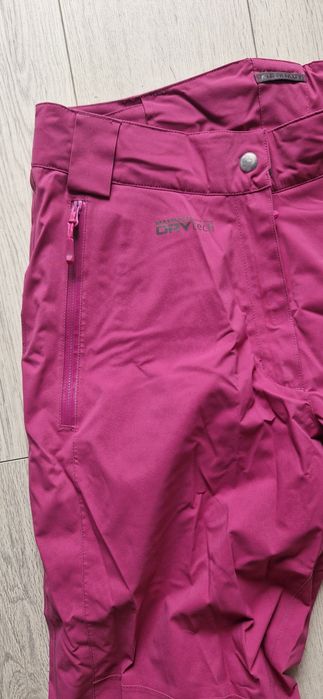 Mammut  L.        .