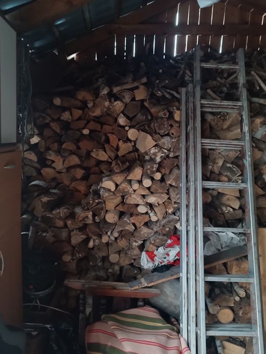 Sosna sucha sezonowana