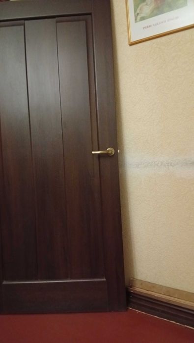 Двері дерев'яні для квартири або в кімнату