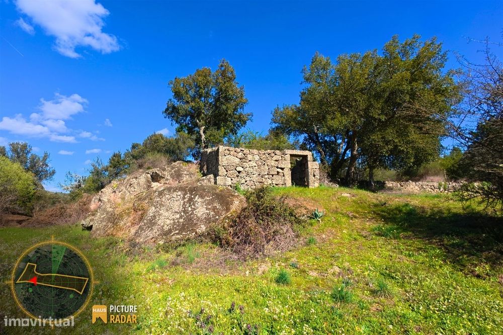 Terreno 1.1ha com Ruína e Vale Fértil | Cafede, Castelo Branco