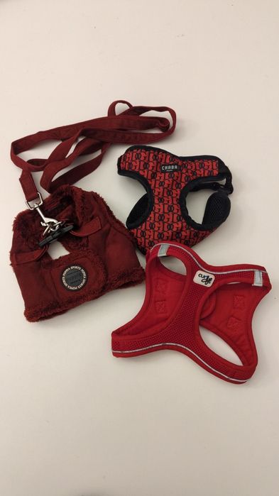 Szelki puppia curli chana mops mały pies szczeniak rozmiar 2