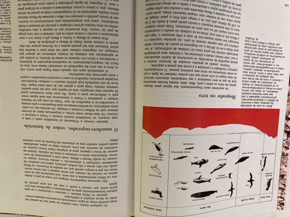 Enciclopédia A Fauna da Salvat - 11 Volumes