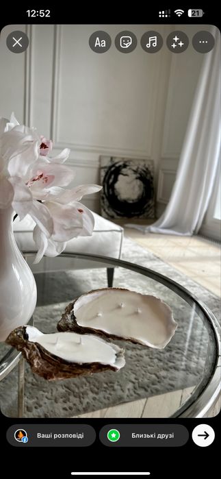 Мушлі устриць для свічок і декору