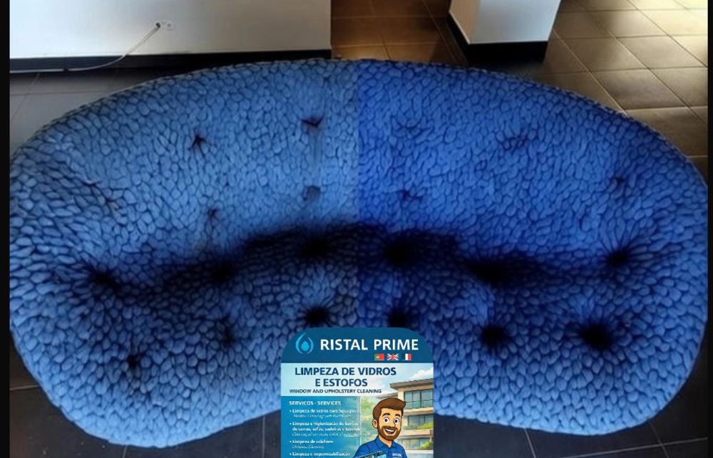 Limpeza de vidros e higienização de estofos