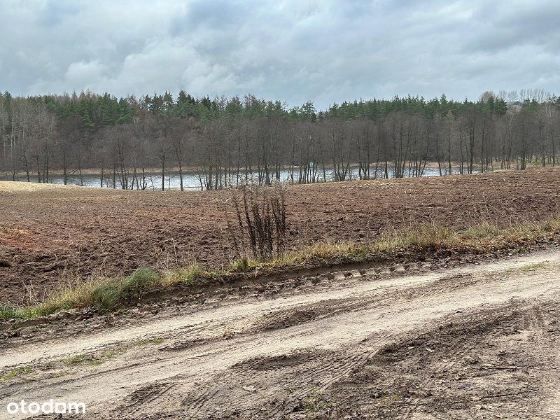 Syndyk sprzeda udział 6/324 w działkach zalesionych i drodze