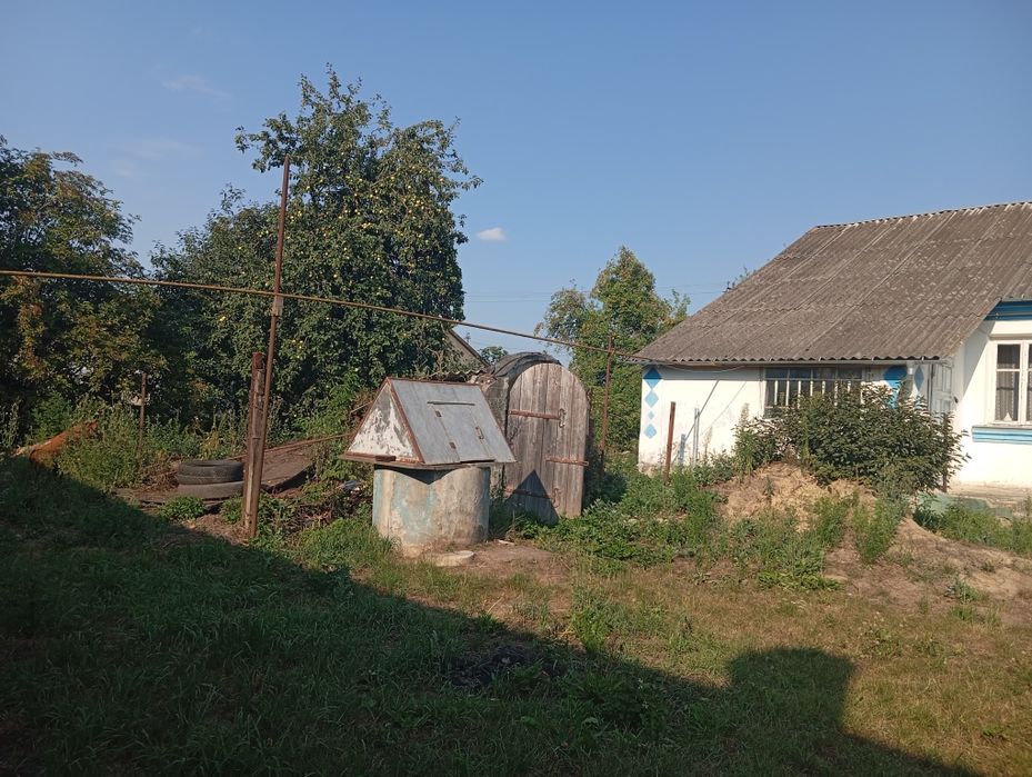 Продам будинок біля м.Горохова!