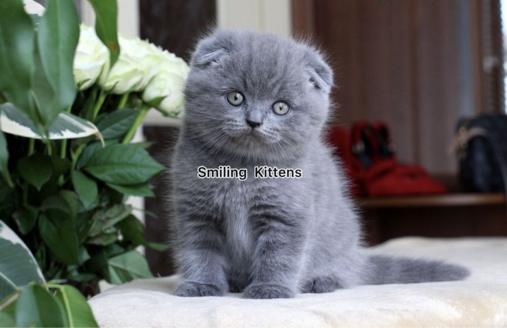 Чекає саме на тебе