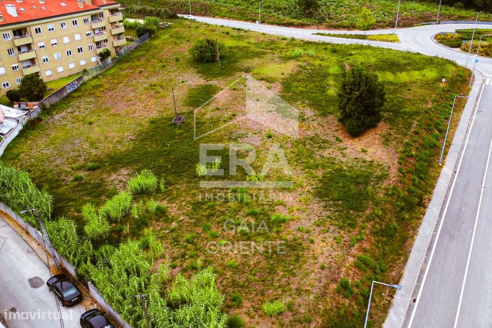 Terreno para investimento em Canelas