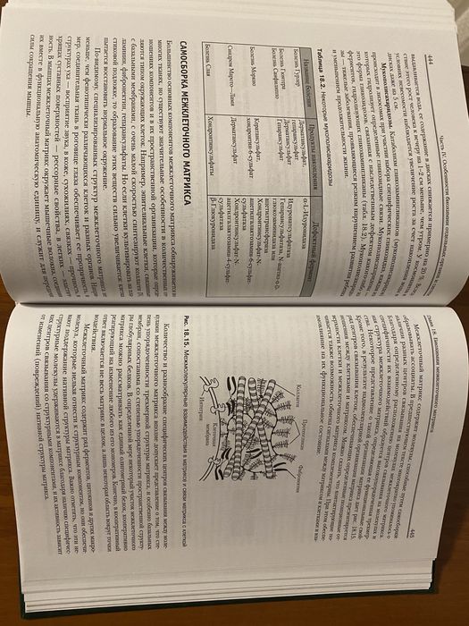 Биологическся химия. А.Я. Николаев/ Біологічна хімія