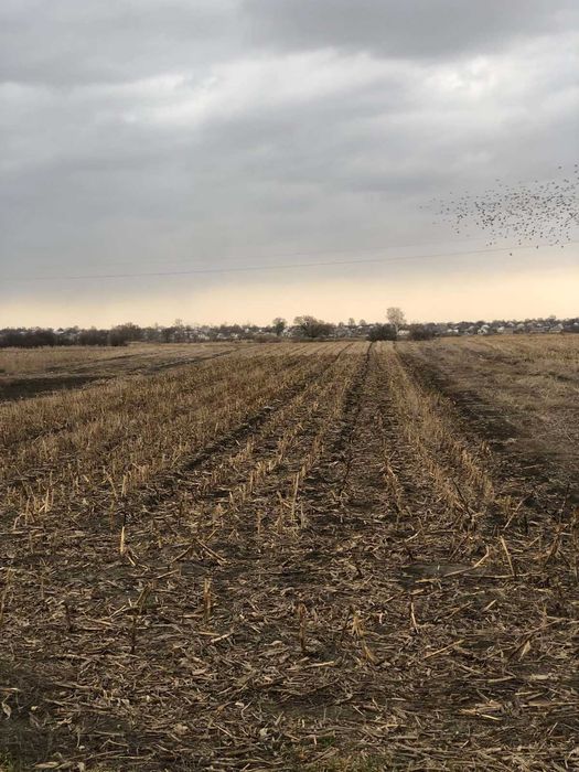 Пропоную до продажу будинок в с. Білозір'я