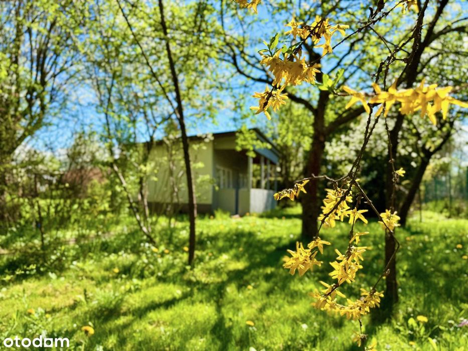 Sprzedam działkę ROD "Małe Błonia" - Widok 4