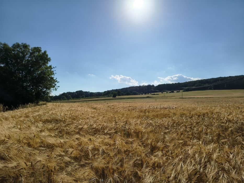 Działka budowlana Paszowice 15,29 arów