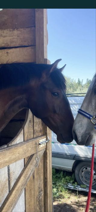 Vendo ou troco por roulote