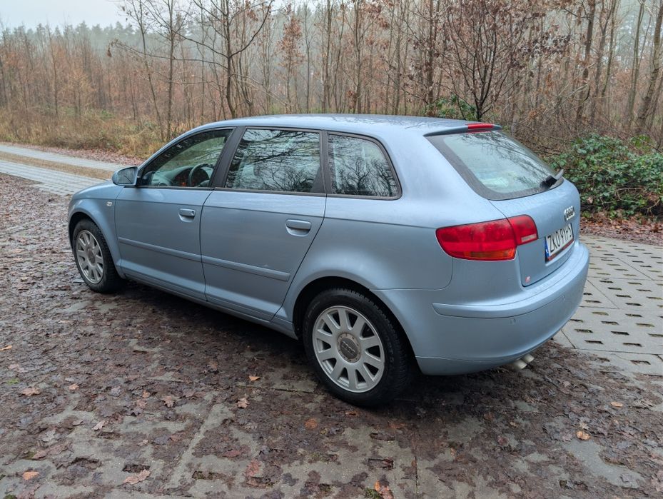 Audi A3 8p sportback 1.9 TDI DSG 2007R