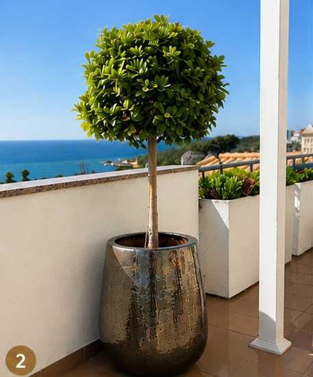Vaso grande em cerâmica 65x54 cm para jardim e terraço – Excelente estado
