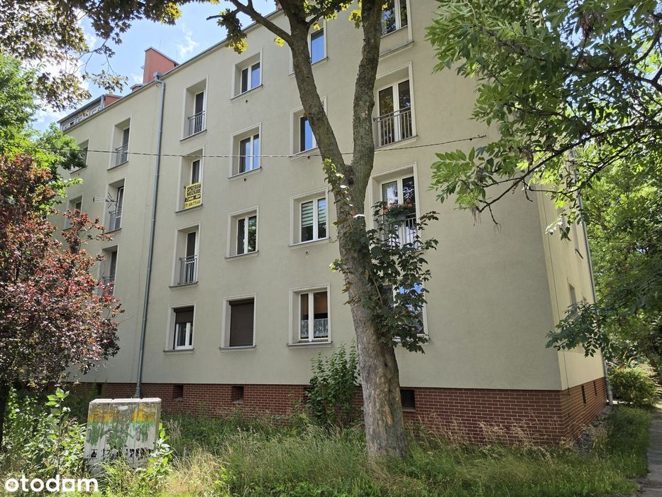 3 pokoje, 64,76 m², duża piwnica, blisko centrum | Al. Korfantego 98