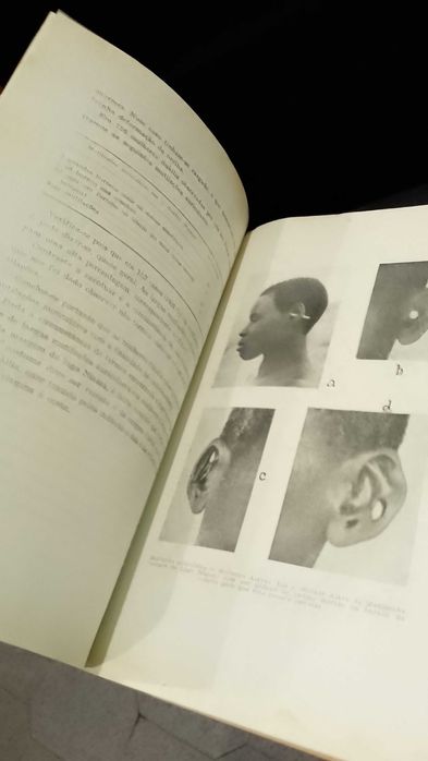 La Sociedad Española de Antropologia, Etnografia y Prehistoria