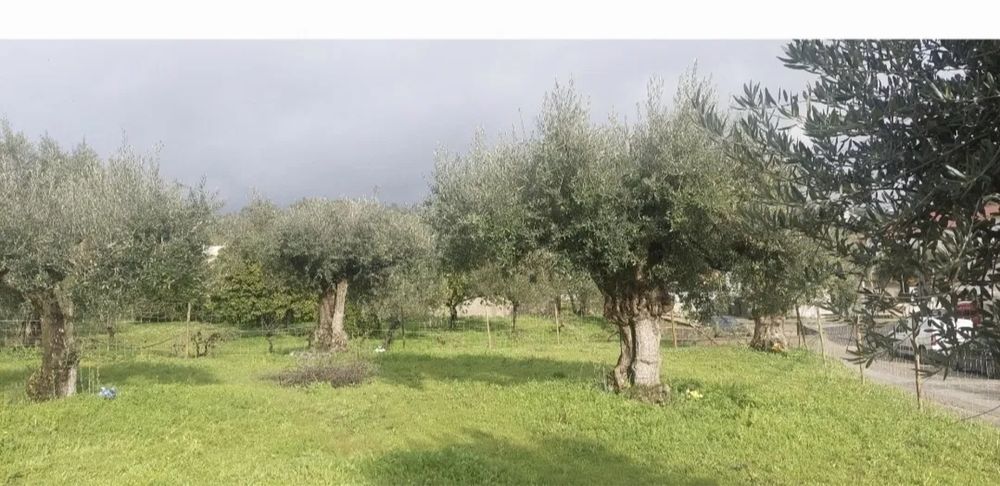 Terreno  400m2 Vilasol