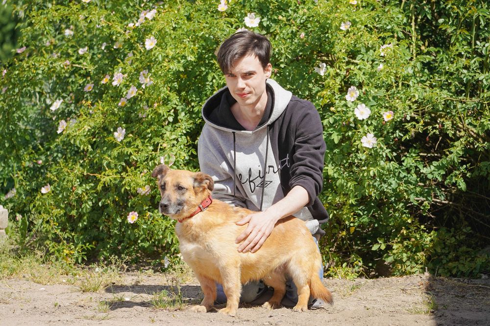 Aurora - niewielka, łagodna sunia szuka domu