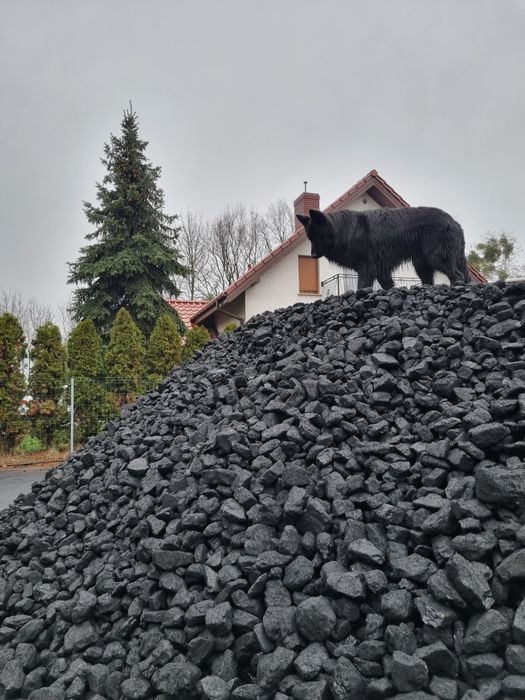 Węgiel Orzech Polski  / Super jakość/ Dobry kalorycznie/