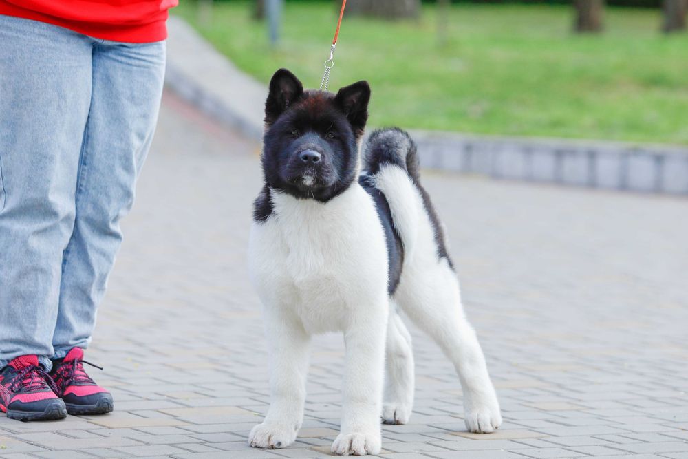 Неймовірна дівчинка
