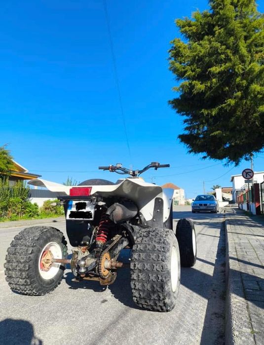 polaris trailblazer 250