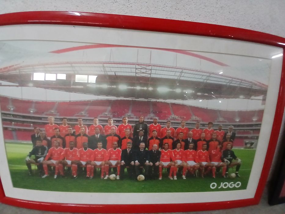 S.L Benfica 5 quadros 1 camisola 1 simbolo cravado com modeas antigas 8 livros 100 anos