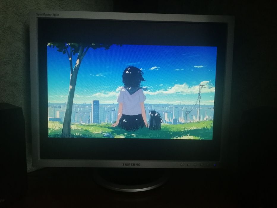 Монітор Sumsung SyncMaster 203b