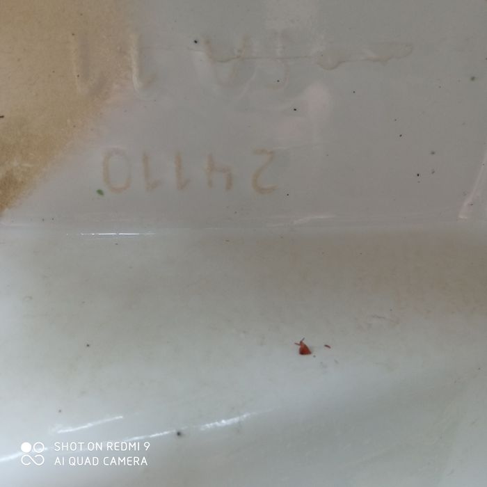 Umywalka Roca 75x44x14cm