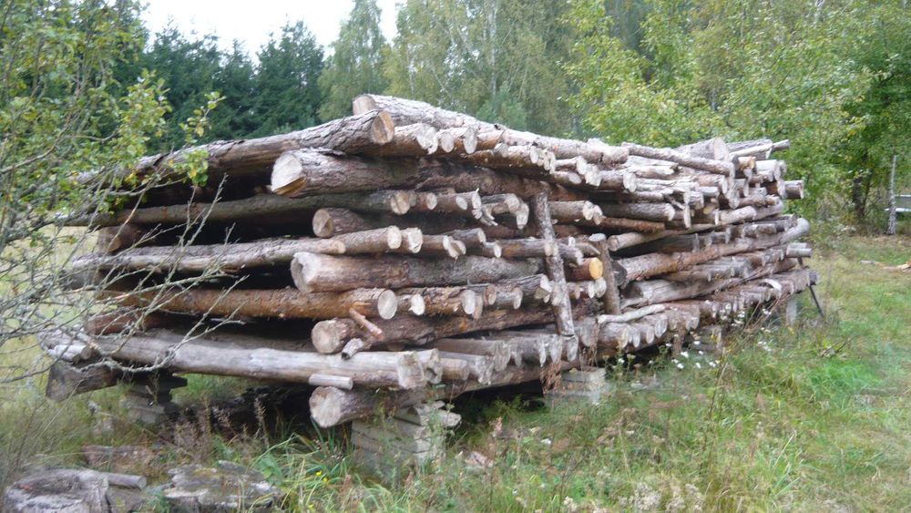 Drewno opałowe sosnowe opał sosna sucha wysezonowana