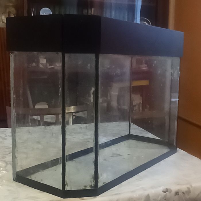 Акваріум під тераріум, 55*23*40 (50 л)