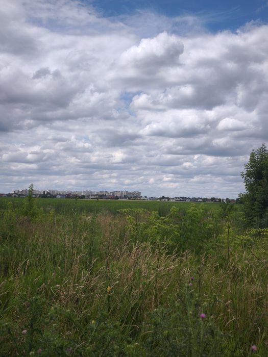 Продаю земельну ділянку в селі Шкарівка